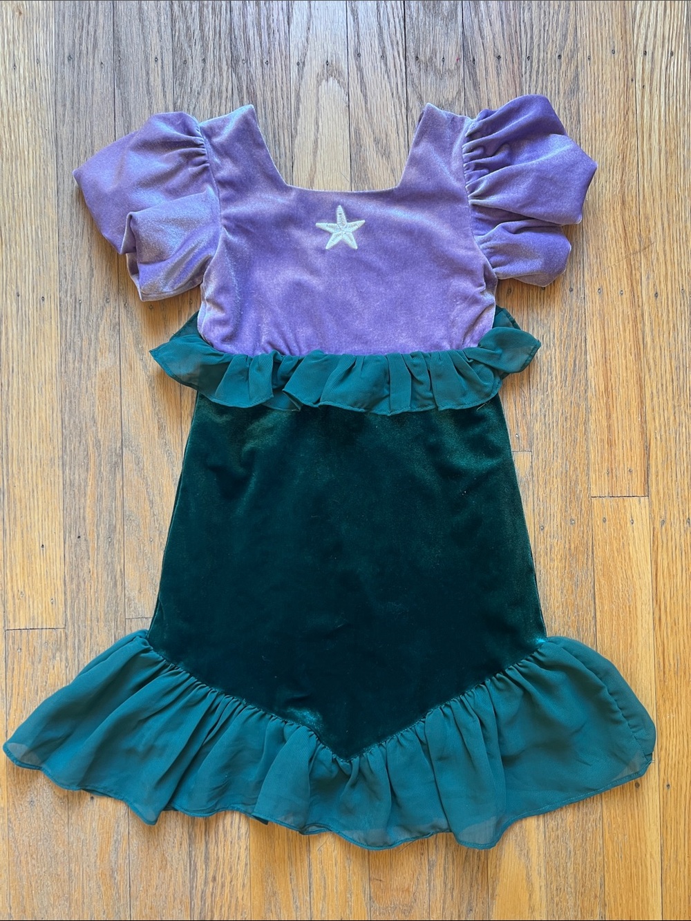 Taylor Joelle Velvet Ariel Dress
